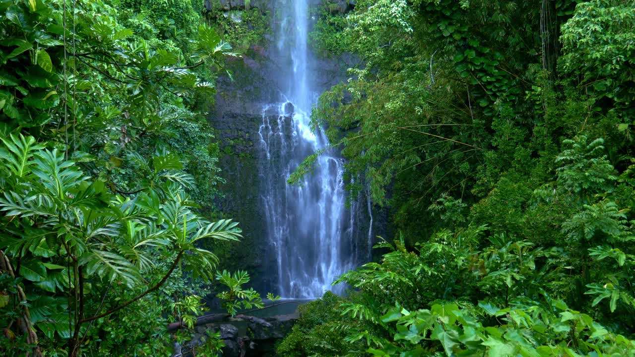 Bellissima cascata in una cornice di foresta pluviale