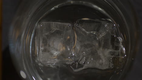 barman setting down a drink of vodka with ice cubes in a glass - top view