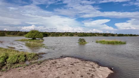 Paisaje-Acuático-Tranquilo:-Un-Vistazo-A-La-Serenidad-De-La-Naturaleza-En-El-Lago-Del-Parque-Nacional