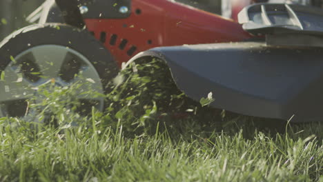 lawn mower cutting grass