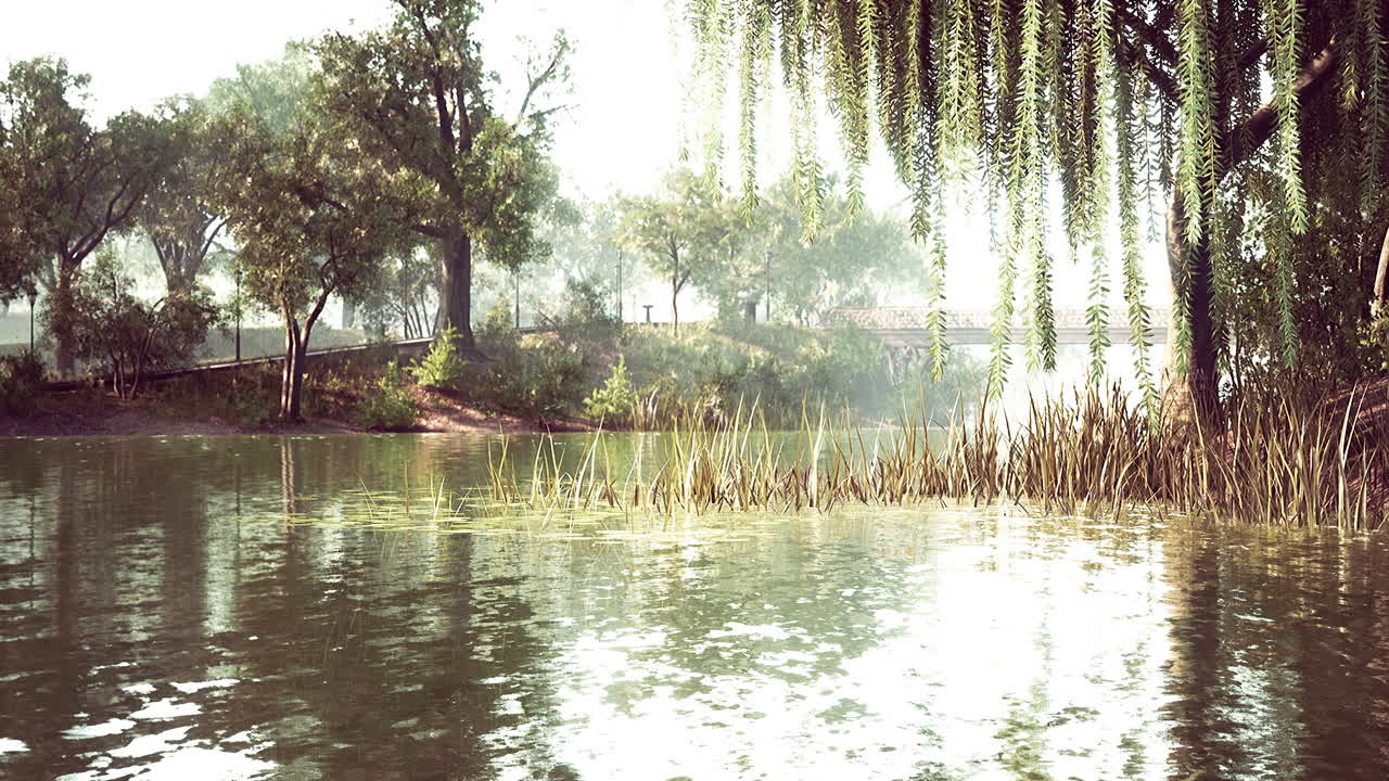 여름 날 에 도시 센트럴 파크 의 연못