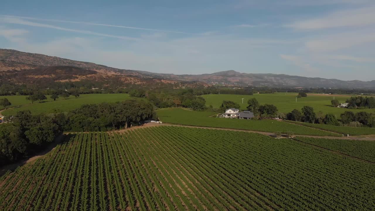 Vineyards in Napa Valley, CA