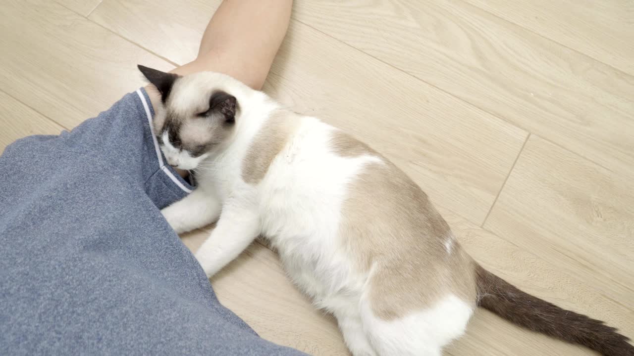 Uomo asiatico con un gatto anziano sdraiato sul pavimento a casa.