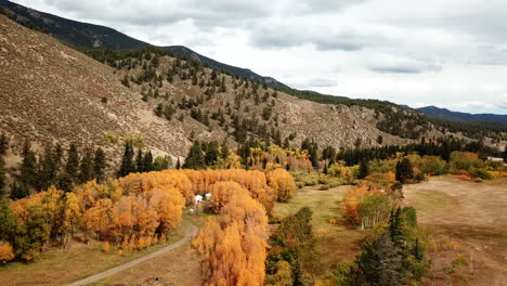 aerial view of isolated yurt tens in yellow woods, valley in colorful american countryside in autumn season, drone shot