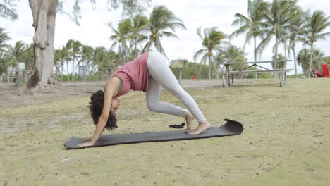 Frau-Auf-Matte-Im-Park-Beim-Yoga