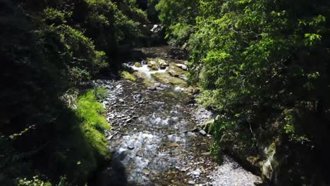 el dron vuela sobre un arroyo de montaña y se adentra más en la selva tropical