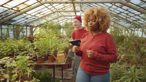 woman working with senior male colleague in flower greenhouse