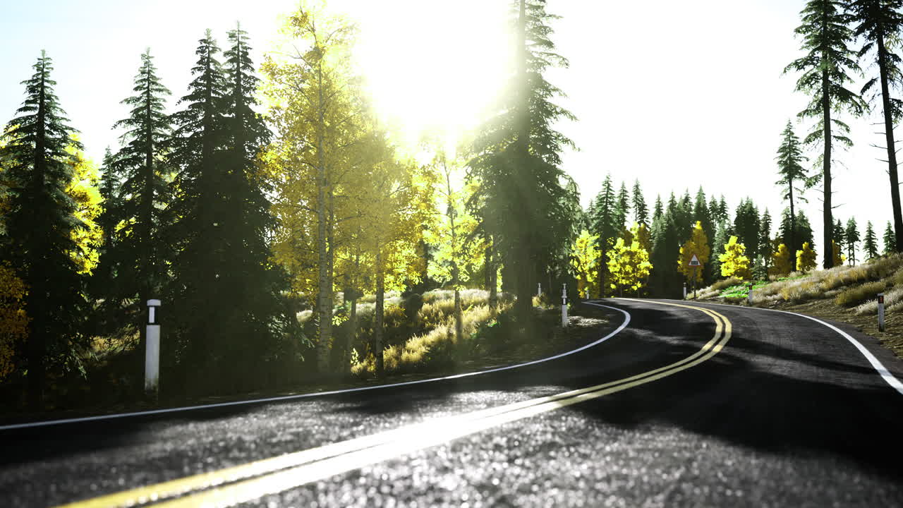 Winding road through vibrant trees in early morning light