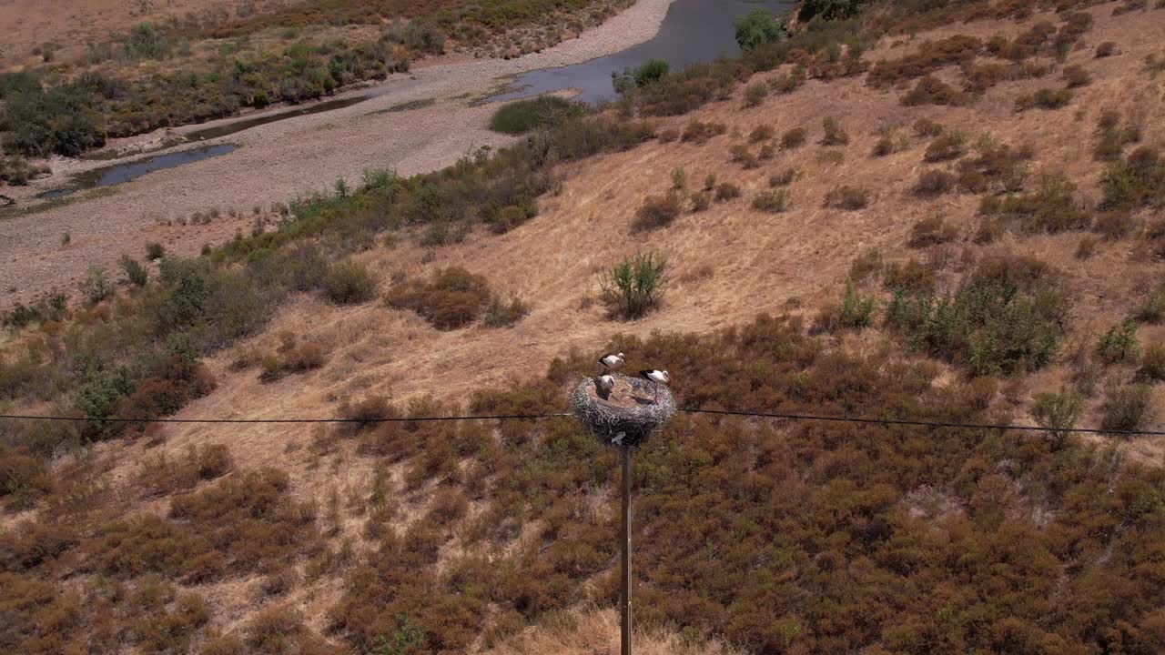 nido de cigüeña blanca en un poste eléctrico cerca del arroyo del río en el campo portugués