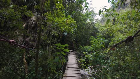 Hängebrücke-Im-üppigen-Cocora-Tal,-Kolumbien