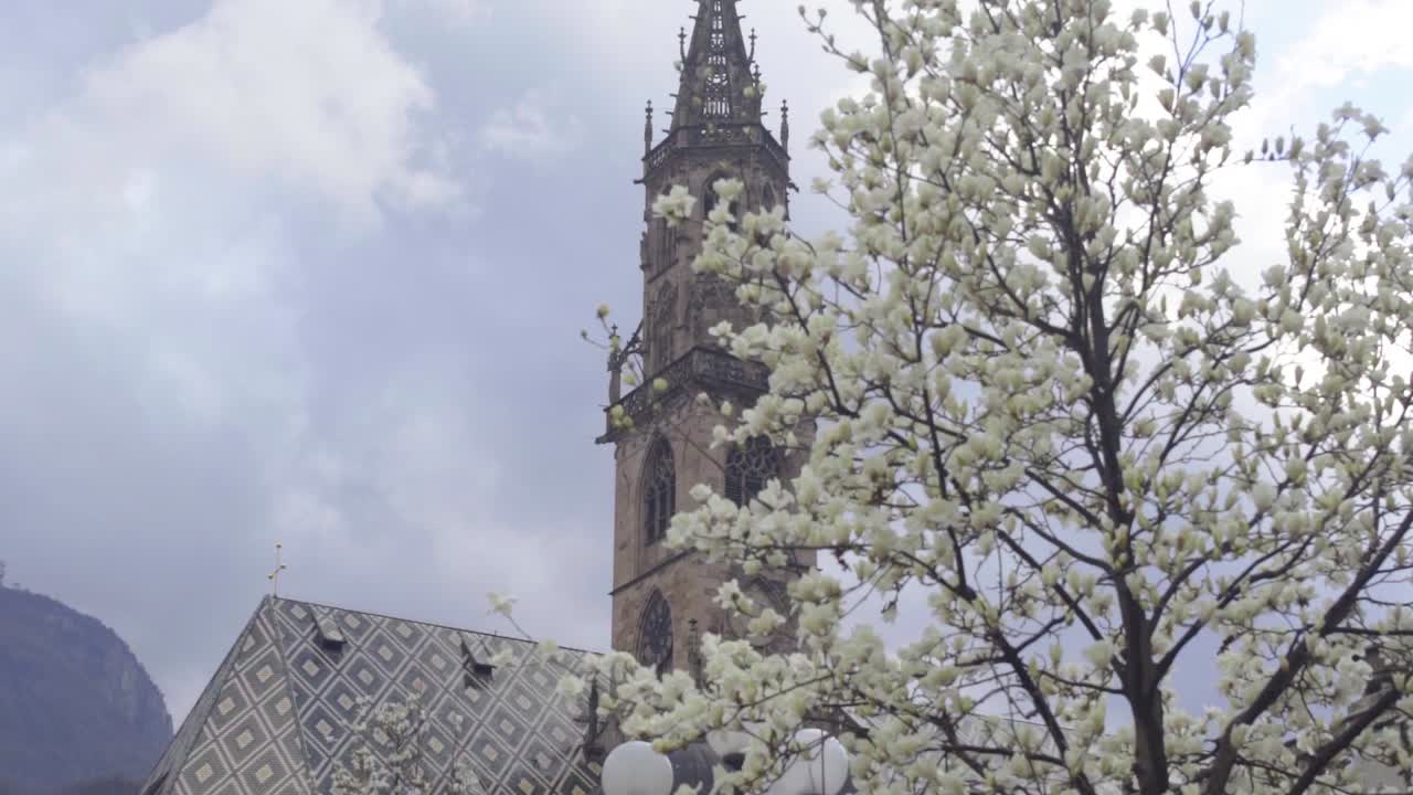 Primo piano suggestivo: il campanile del Duomo di Bolzano-Bozen in evidenza con un ciliegio in fiore.