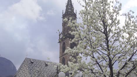 captivating close-up: bolzano-bozen cathedral bell tower showcased with a blooming cherry tree