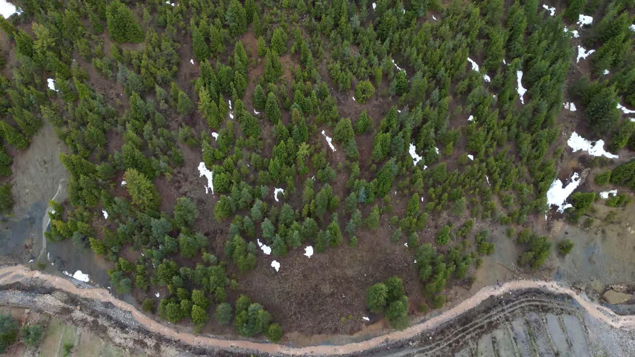 vista de la selva, el avión no tripulado vuela sobre un paisaje de densas montañas cubiertas de bosques verdes, vista aérea de exuberantes montañas de bosque verde, vista de la jungla