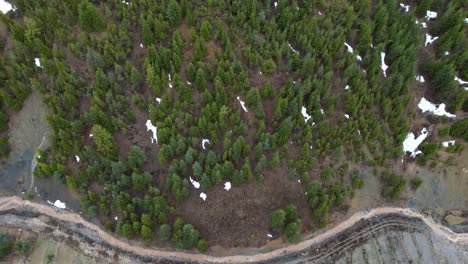 jungle view, the drone flies over a landscape of dense, verdant forest-covered mountains, aerial view of lush green forest mountains, jungle view