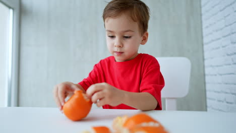 lovely toddler sitting at table peeling a tangerine. baby boy having a fruit. close up.
