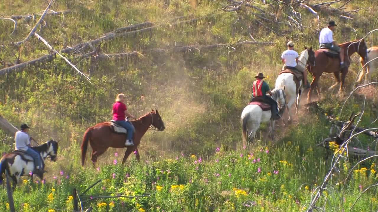 caballos y jinetes hacen un viaje en grupo por el desierto