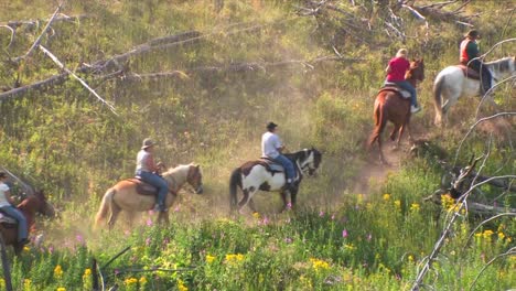 Los-Caballos-Y-Los-Jinetes-Hacen-Un-Viaje-En-Manada-Por-El-Desierto