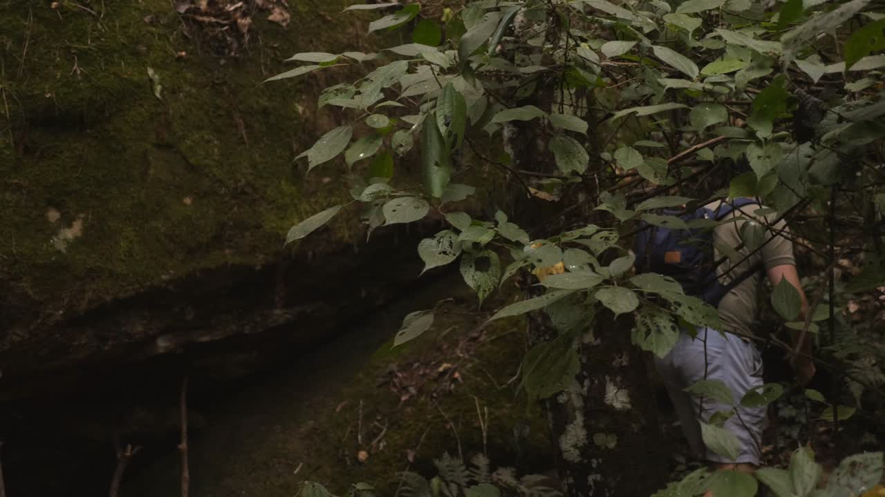 얼굴 마스크를 입은 30대 남성 하이커가 숲 공원에서 산책합니다. 모험과 여행, 백을 은 남자가 열대 평화로운 울창한 산책로를 따라 산책하고 있습니다. 생태 관광 개념. 숲 공원의 자연에서 배 여행자