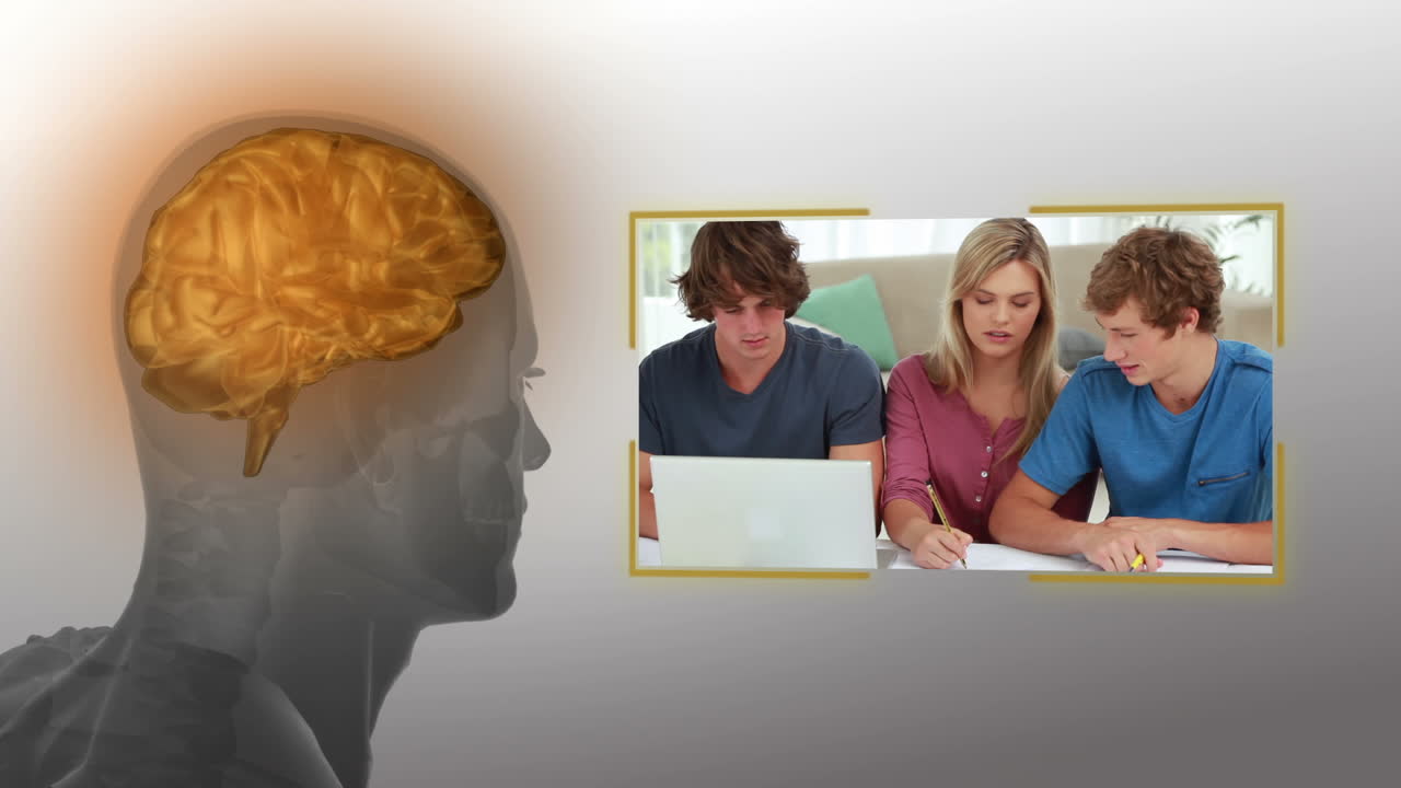 estudiantes que trabajan juntos