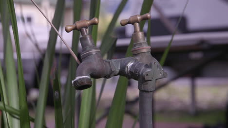 leaking common brass garden tap. droplets of water