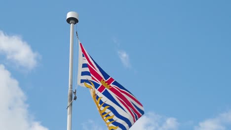 slow motion shot of a british columbia flag flying on a sunny day
