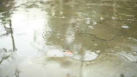 circles of raindrops and huge puddles on the asphalt or paving slabs