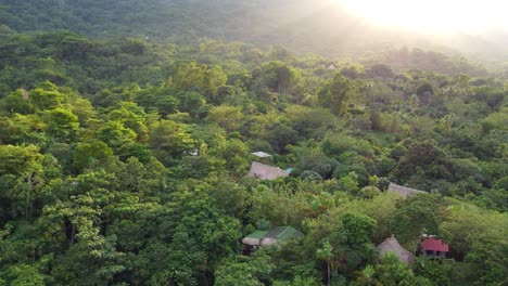 exuberante jungla tropical paisaje de colombia vista aérea vuelo drone