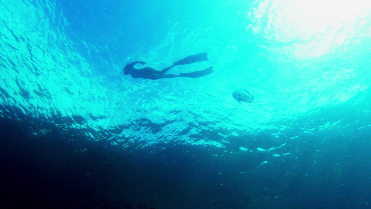 I've made a new friend