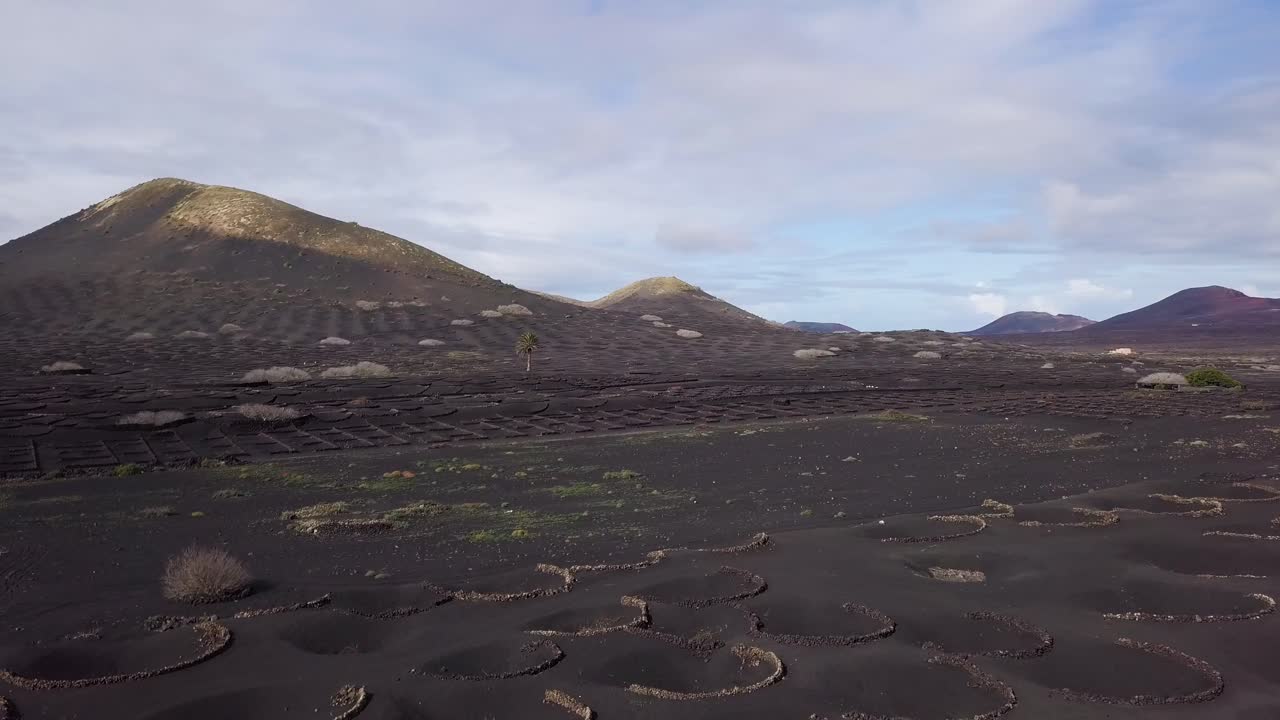 란사로테의 항공 영상 카나리아 제도 야이자 보데가 라 제리아의 경치 좋은 풍경