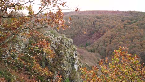 landscape view of the mountain valley, gorgeous fall-autumn colours in the tree branches swinging in the wind