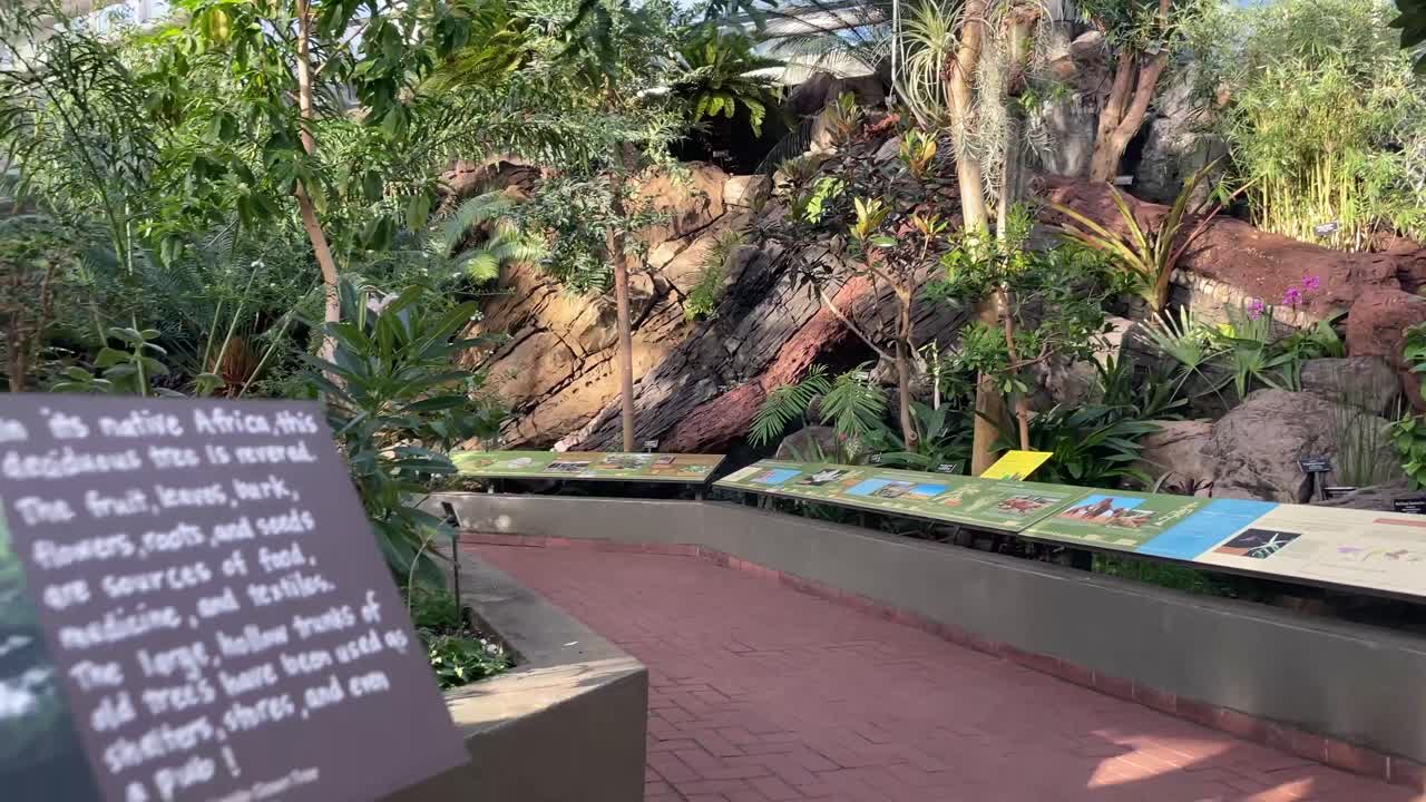 뉴욕 브루클린의 이 온실에는 여러 가지 식물이 있습니다.