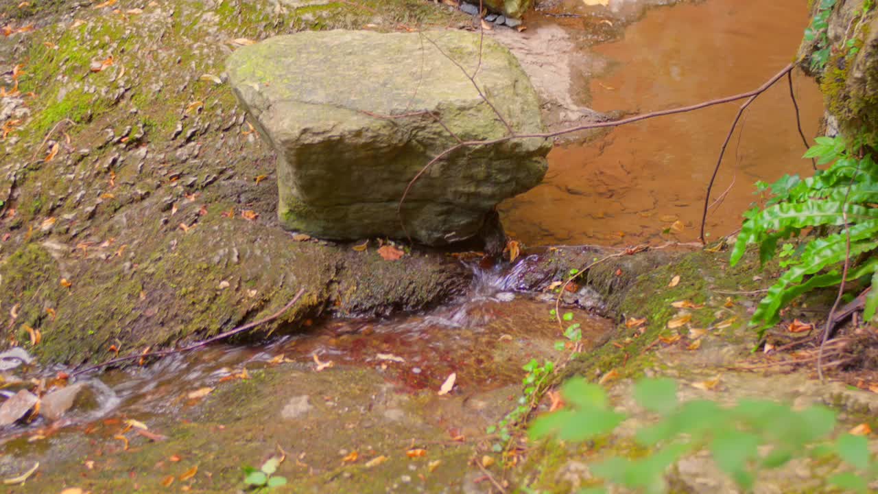 Water Flowing Through The River In The Forest. - closeup shot