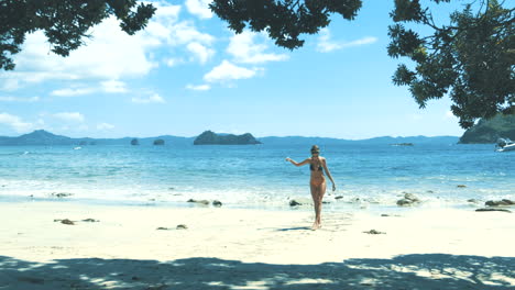 Chica-En-Bikini-Camina-En-La-Playa