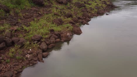 Eine-Dynamische-Orbitale-Luftaufnahme-Einer-Jungen-Frau,-Die-Auf-Einem-Felsen-Am-Flussufer-Des-Iguazu-flusses-An-Der-Grenze-Zwischen-Brasilien-Und-Argentinien-Sitzt