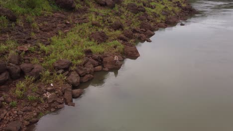 imágenes aéreas orbitales dinámicas de una mujer joven sentada en una roca a orillas del río iguazú en la frontera entre brasil y argentina