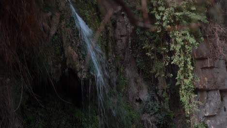 ein gedi en gedi cascada israel