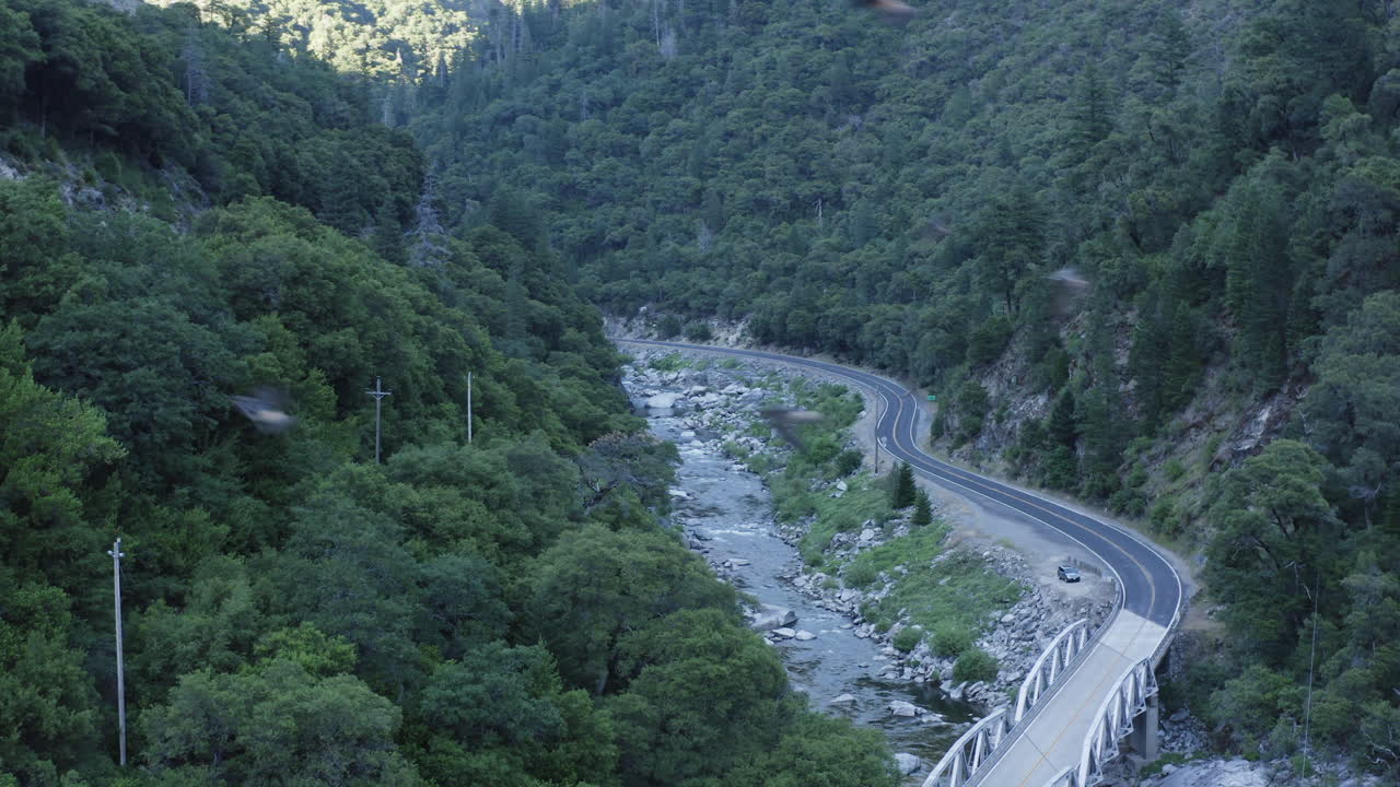 푸른 나무와 강이 있는 협곡에서 정적 드론을 지나 날아가는 새 떼