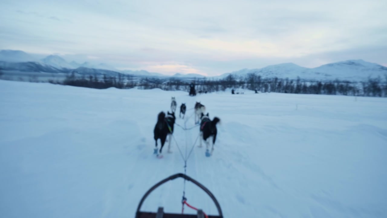 Ponto de vista de um trenó puxado por cães atravessando um vale ártico nevado em direção às montanhas na Noruega, uma experiência de aventura ao ar livre