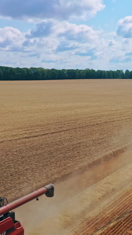 Wheat Harvest in a Field