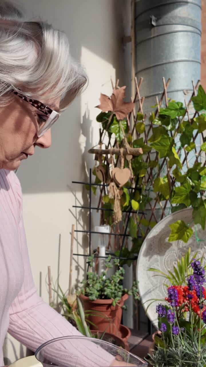 Woman gardening lavender