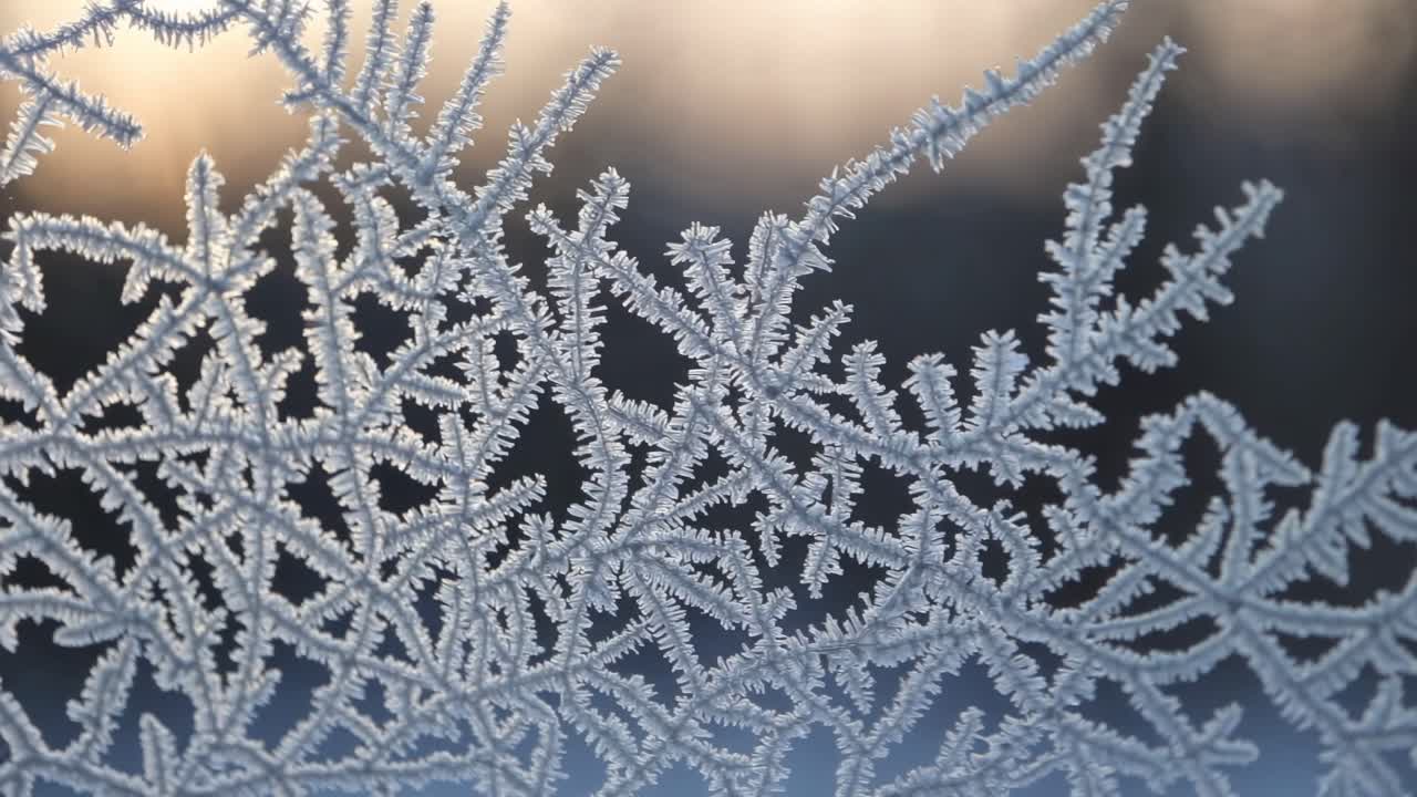 Close-up video of intricate frost patterns on glass, captured at eye level