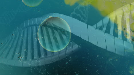 animation of bubbles over dna strands on blue background