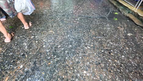 pedestrians navigating a slippery wet market floor.