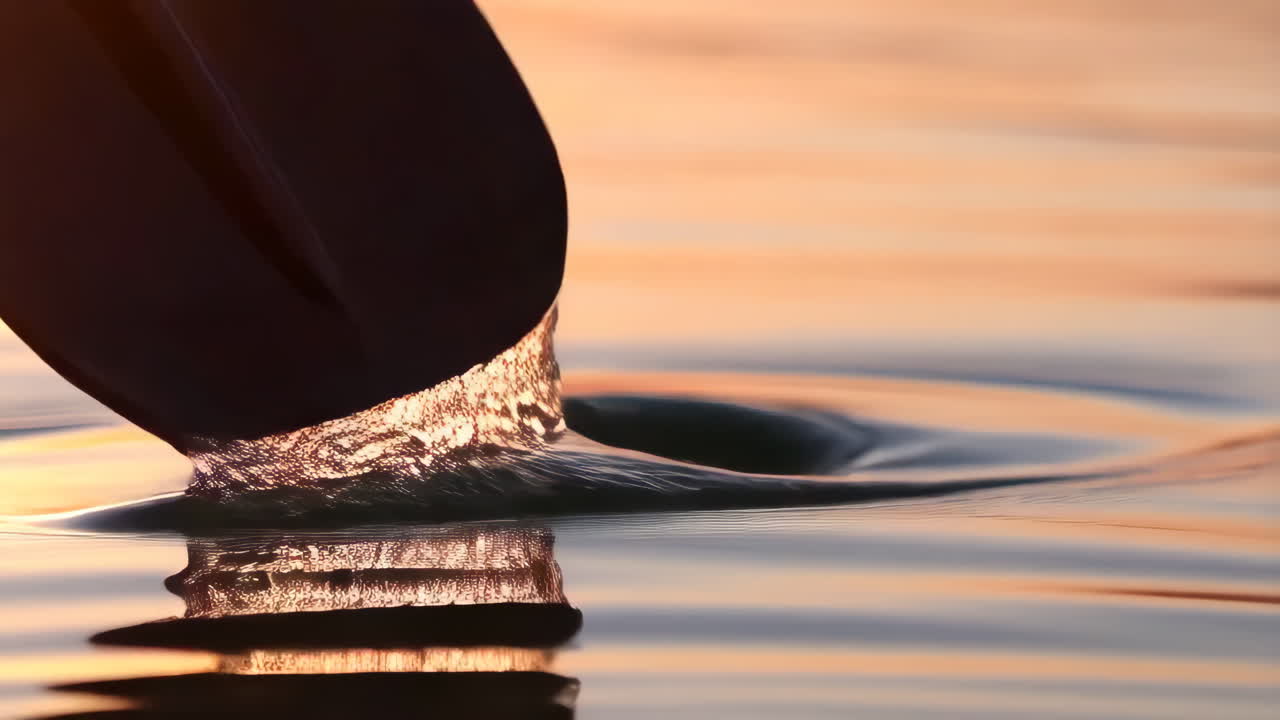 Water ripples, splashes, and a foot entering the water at sunset