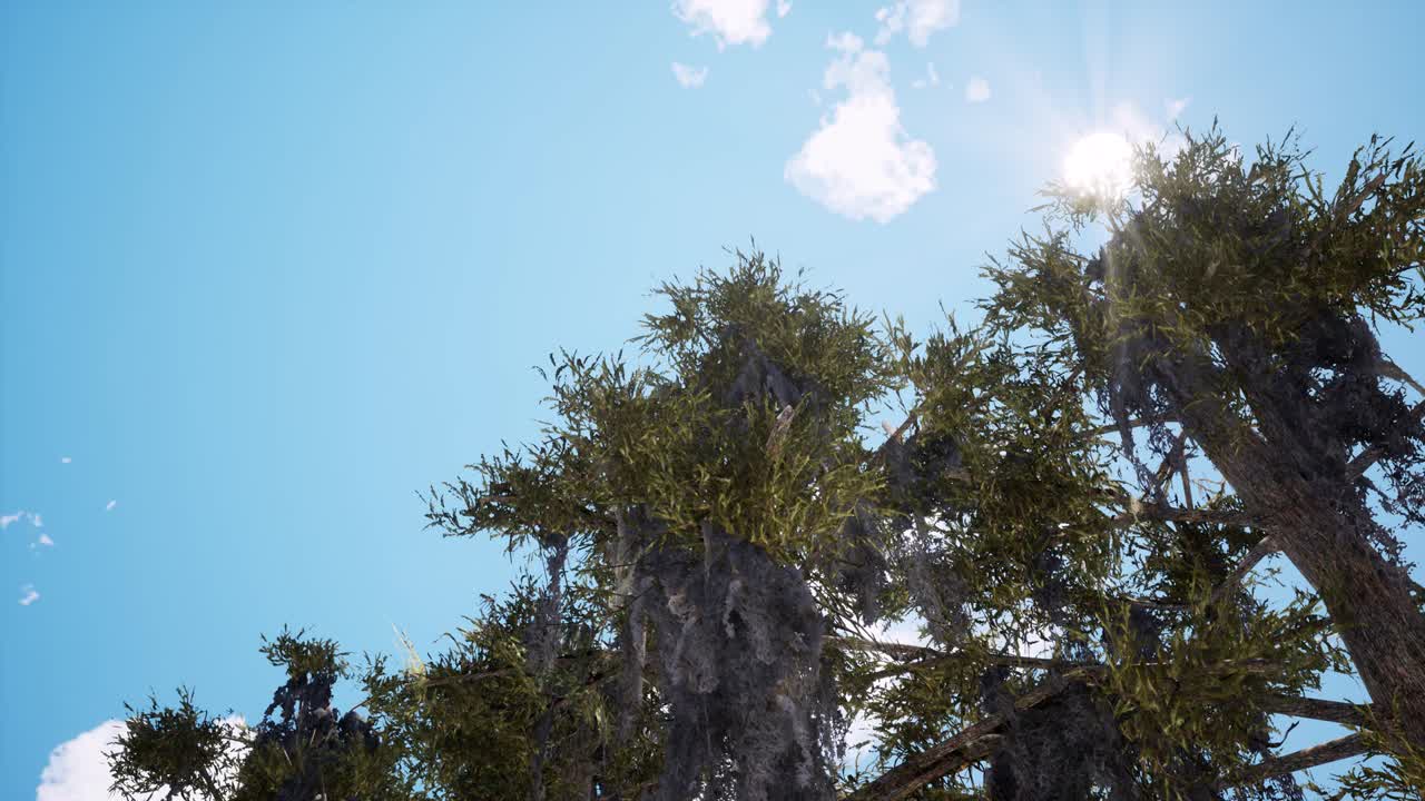 Old tree branches on sunny day 3d animation. Realistic sun rays beaming through green foliage. White clouds in blue sky on warm summer day. Spring flora lit by bright sunshine rendering