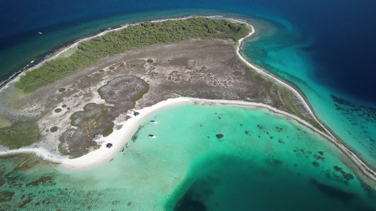 Una piccola isola tropicale circondata da acque limpide e turchesi in un tranquillo scenario oceanico, vista aerea