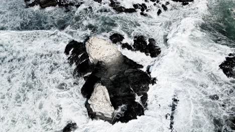 Aerial-orbit-of-Punta-de-Lobos-rocks-with-birds-on-their-tops-on-a-sunny-day