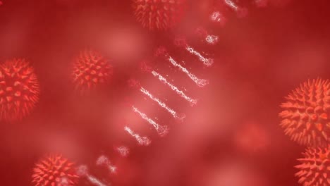 Animation-of-dna-strand-over-3d-covid-19-cells-floating-on-red-background