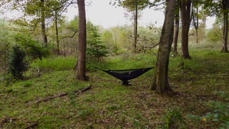 Persona-Relajándose-En-Una-Hamaca-Colgando-De-Dos-árboles-En-Un-Bosque-Arbolado,-Tiro-De-Muñeca