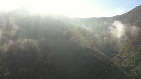 Morning-fog-over-mountain-foothills